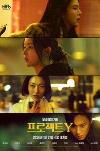 Проект Y (2025)